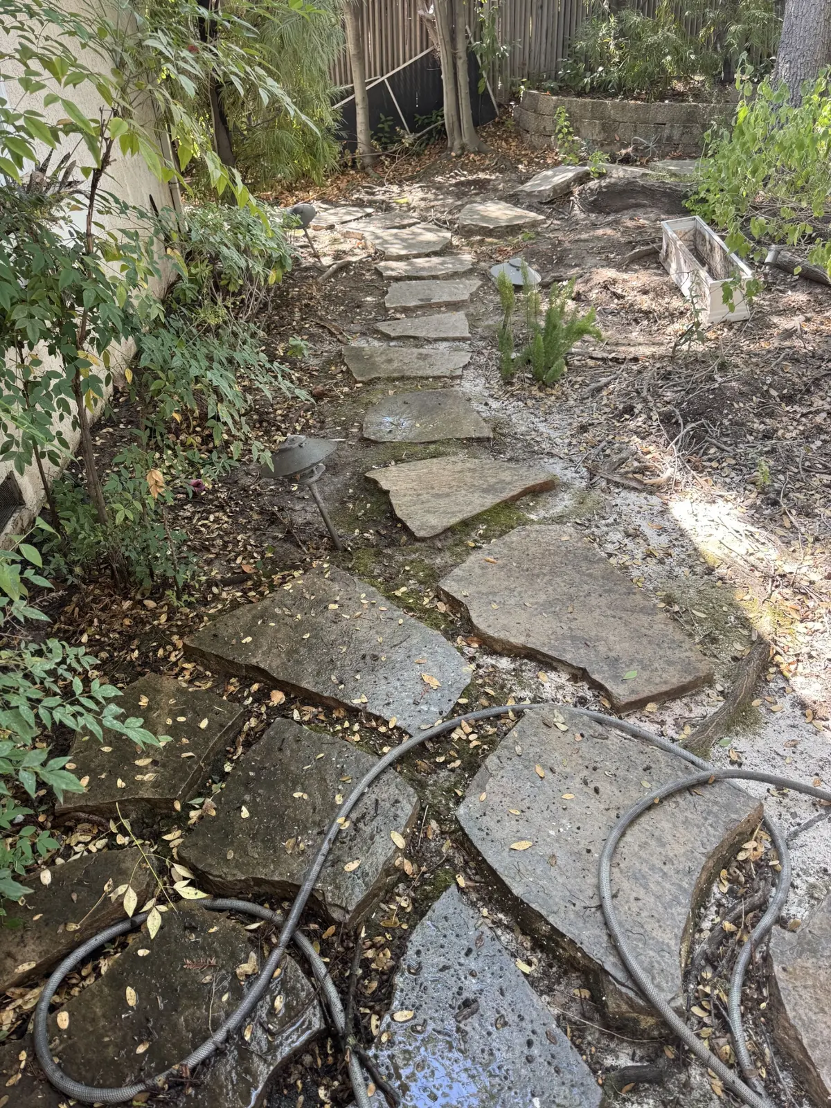 Flagstone path before cleaning
