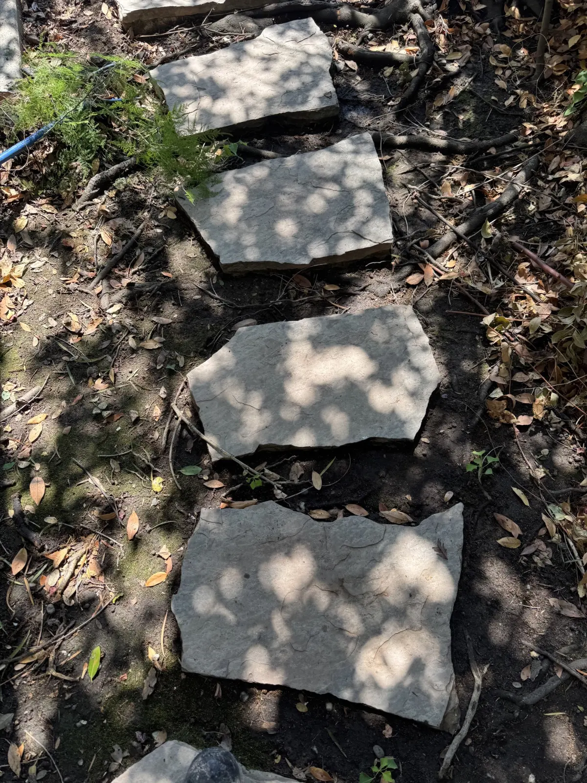 Flagstone path after cleaning