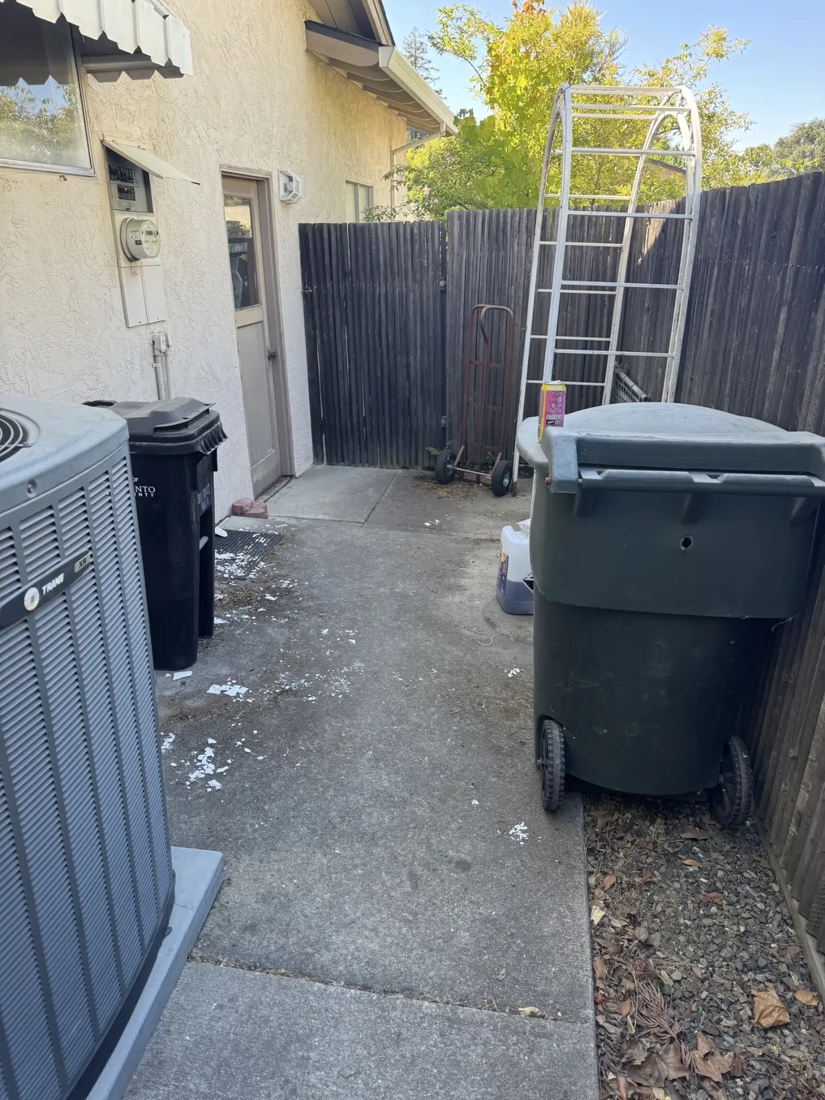 Concrete walkway before cleaning